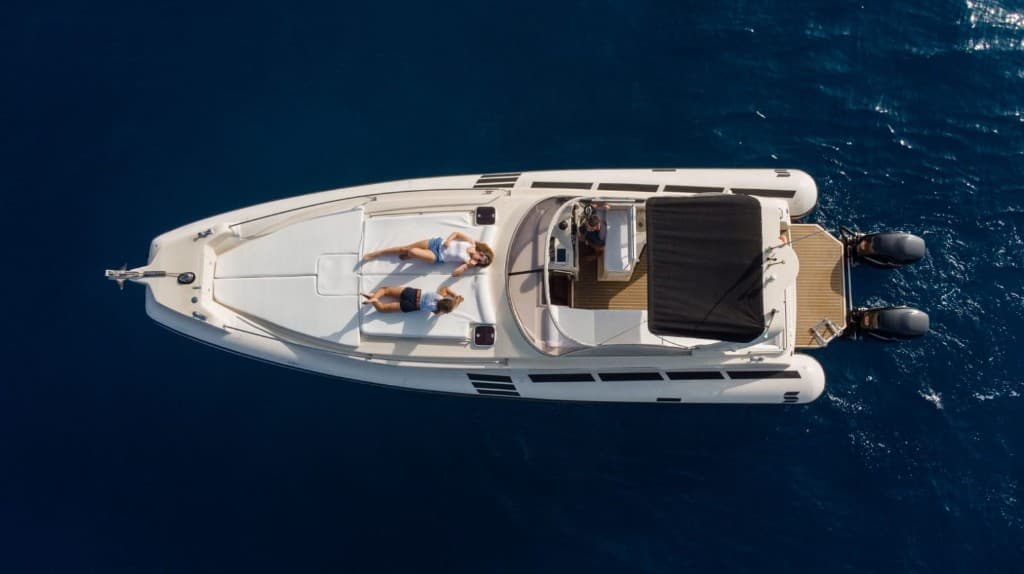 Boat trips and whale watching excursions in Tenerife — Turtles & Dolphins