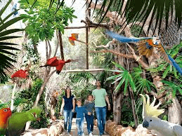 Jungle Park