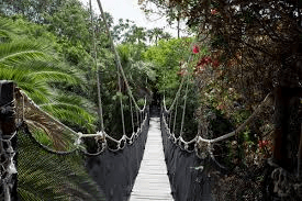 Jungle Park – 4