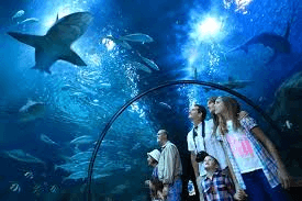 Loro Parque – 5