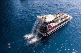 Whale Watching in Tenerife boat tour